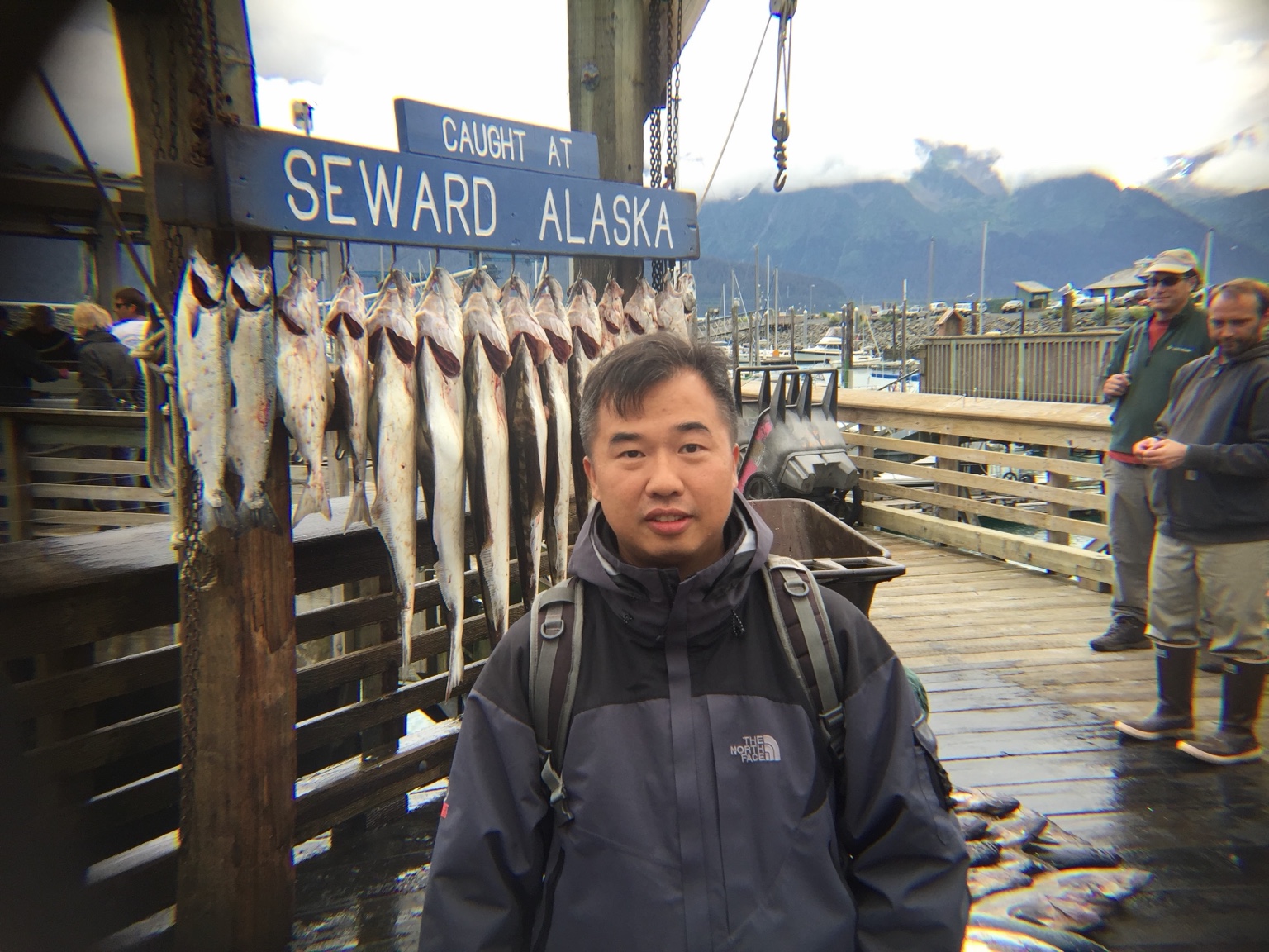 Seward 漁港最有代表性的畫面——一整排當天的漁獲。