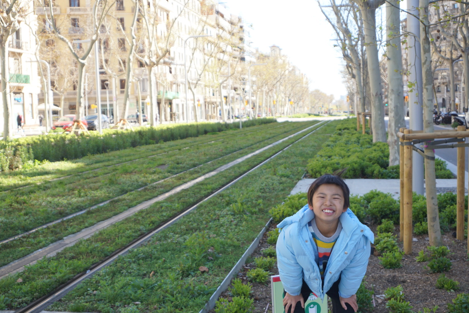 巴塞隆拿街道的綠化路軌